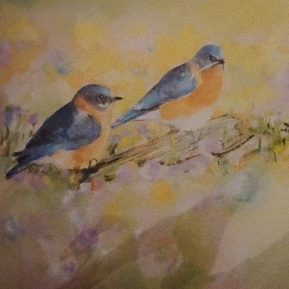 Print-Birds